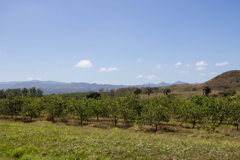 Куба 2018. Остров никому ненужной свободы (много фото)