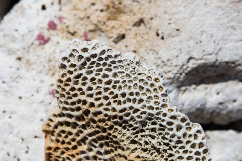 Куба 2018. Остров никому ненужной свободы (много фото)