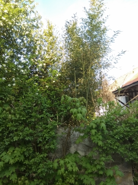 Мюнхен, Март, командировка...