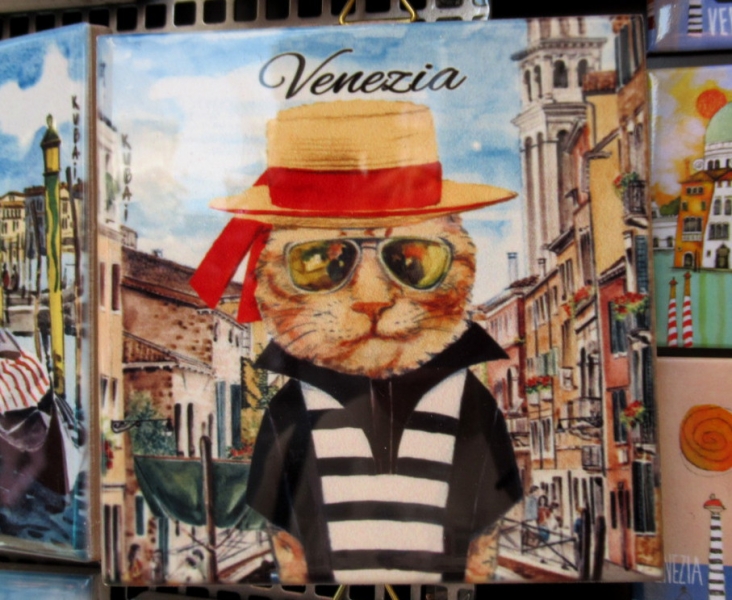 Кошки в нашей жизни. Кошки и все, что с ними связано.