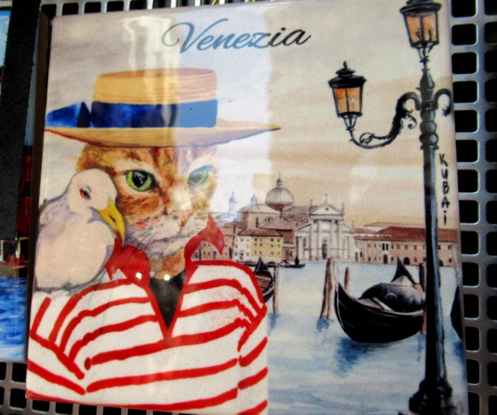 Кошки в нашей жизни. Кошки и все, что с ними связано.