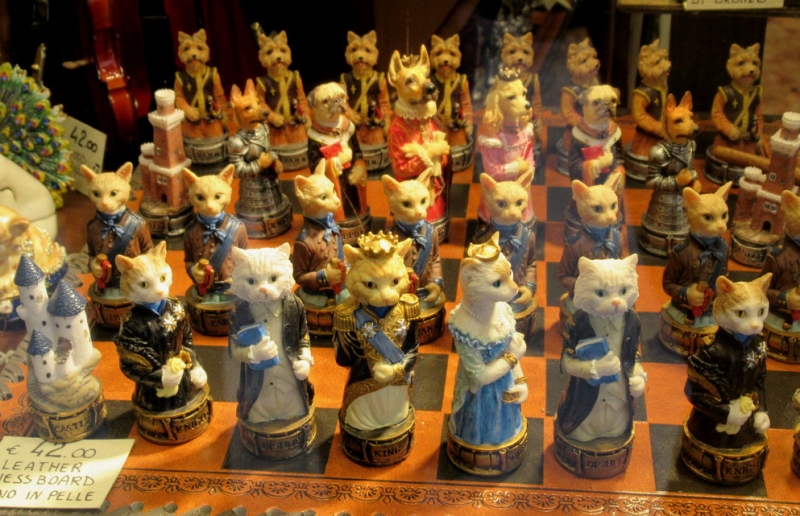 Кошки в нашей жизни. Кошки и все, что с ними связано.