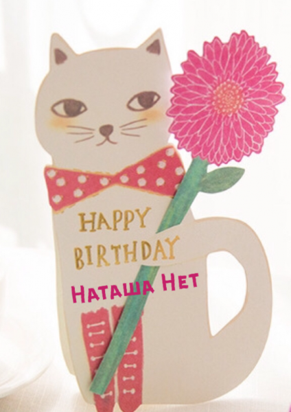 Кошки в нашей жизни. Кошки и все, что с ними связано.