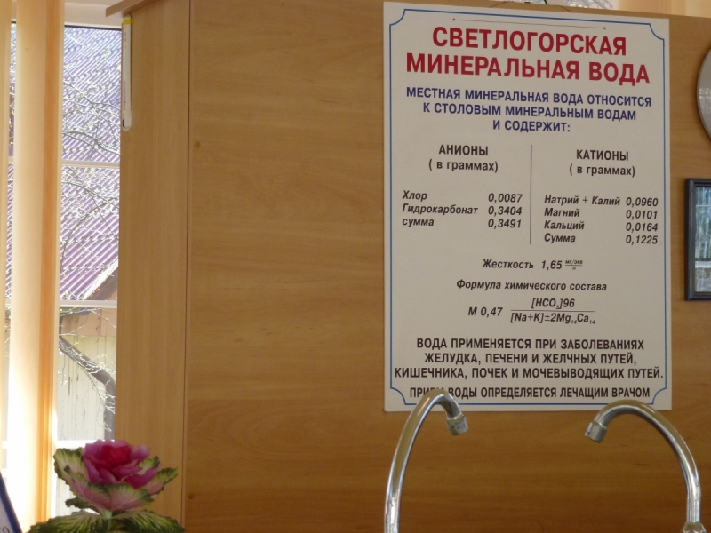 Калининградская область весной