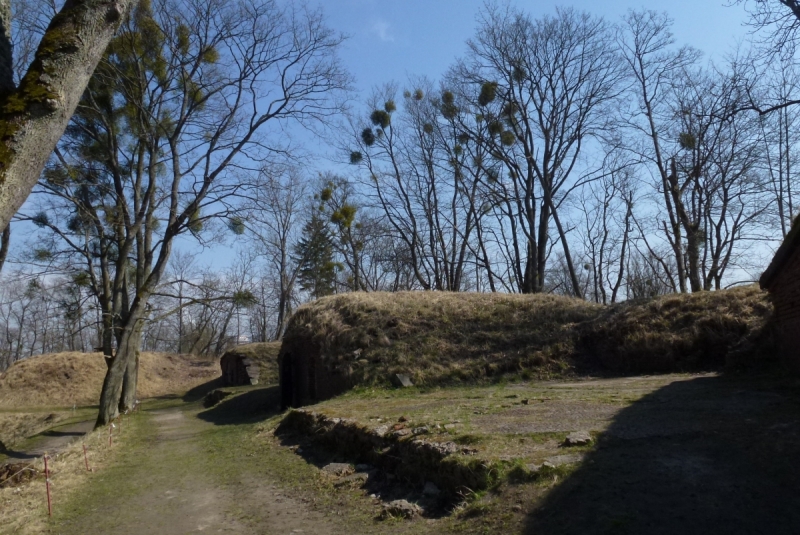 Калининградская область весной