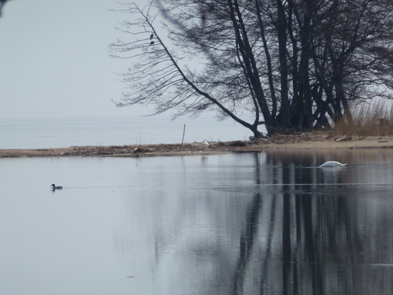 Калининградская область весной