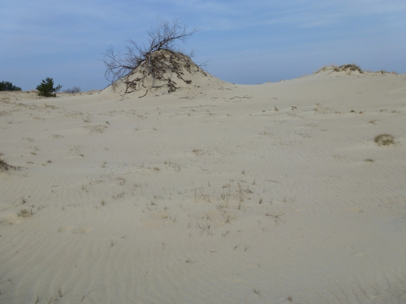 Калининградская область весной