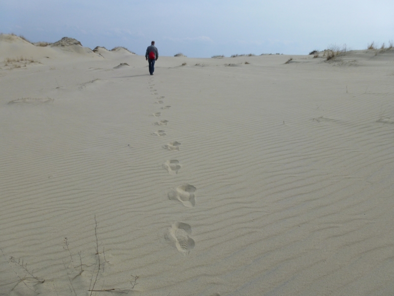 Калининградская область весной