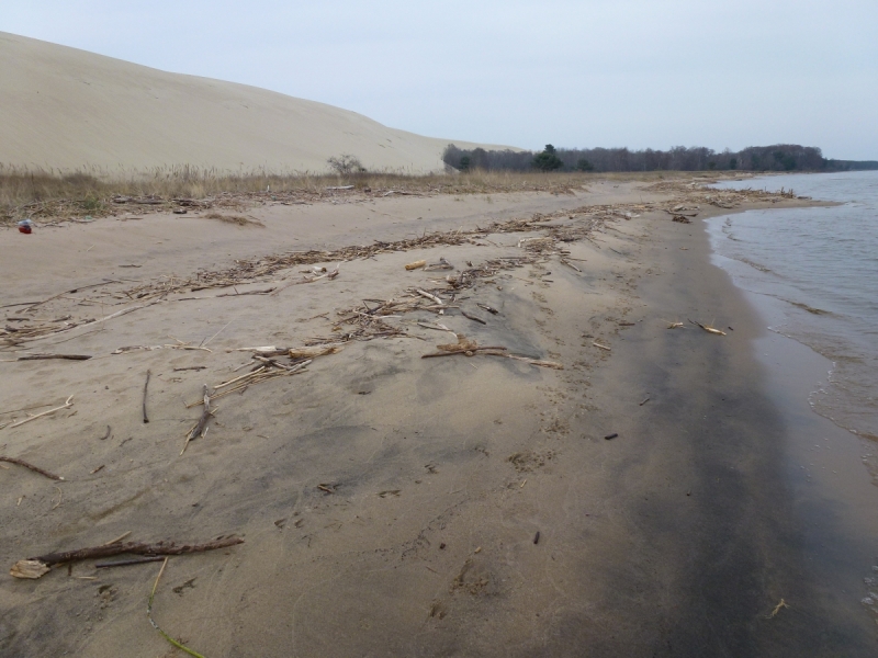 Калининградская область весной