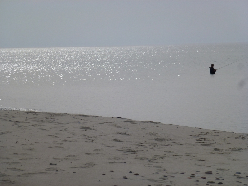 Калининградская область весной