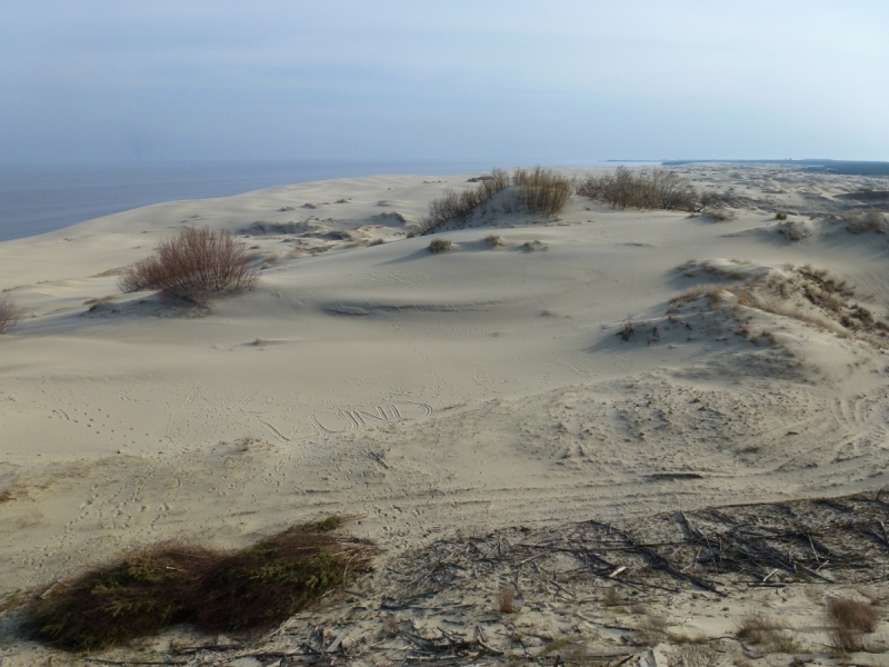 Калининградская область весной