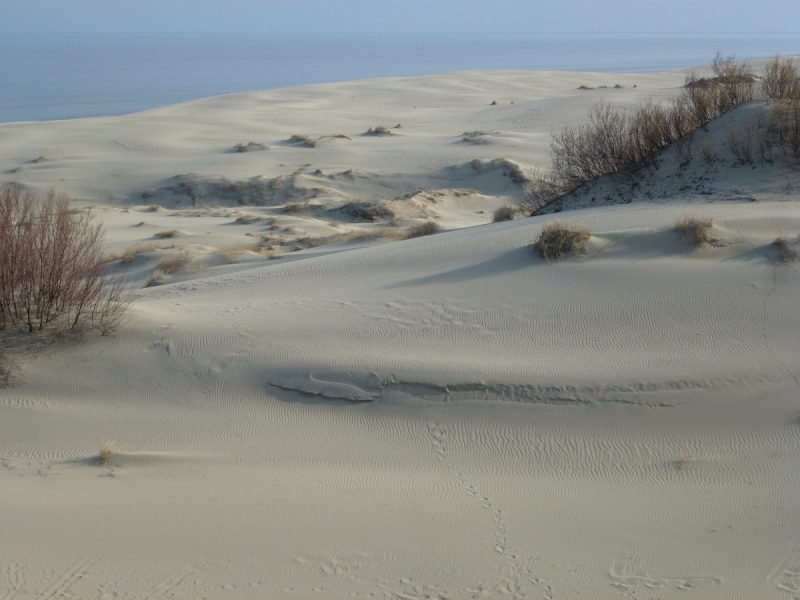 Калининградская область весной