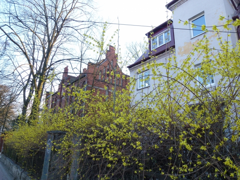 Калининградская область весной