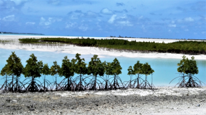Микронезия без кругосветки - 6. Кирибати. Тарава: японские пушки, ночной клуб и рассвет над лагуной