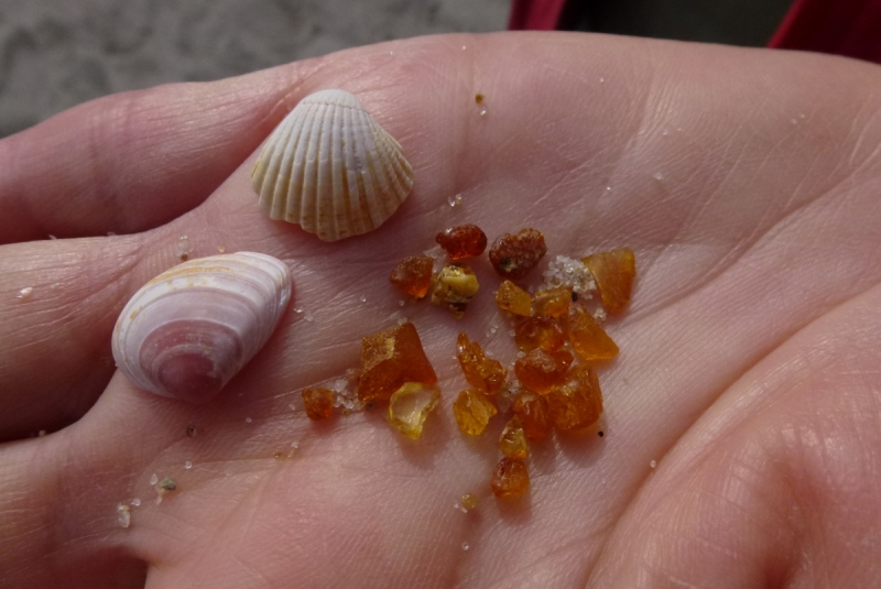 Калининградская область весной