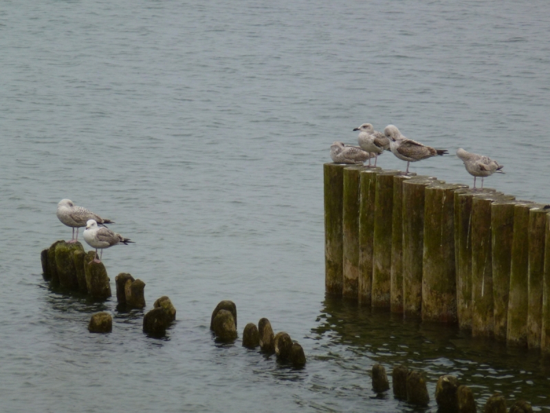 Калининградская область весной