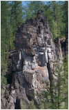 Тунгусские исполины. Эвенкия 2011 год.
