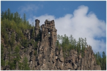 Тунгусские исполины. Эвенкия 2011 год.