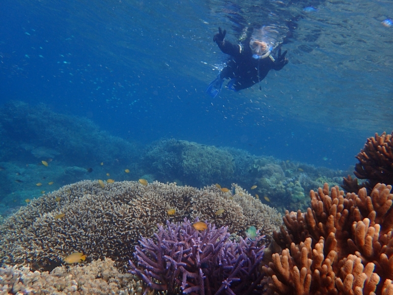 Утомленные снорком 5. Только Моалбоал, только снорк. Апрель 2017, 2018, 2019.