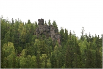 Тунгусские исполины. Эвенкия 2011 год.