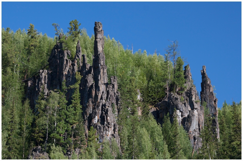 Тунгусские исполины. Эвенкия 2011 год.