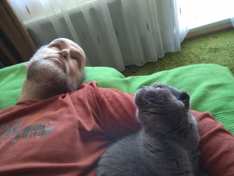 Кошки в нашей жизни. Кошки и все, что с ними связано.