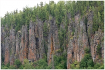 Тунгусские исполины. Эвенкия 2011 год.