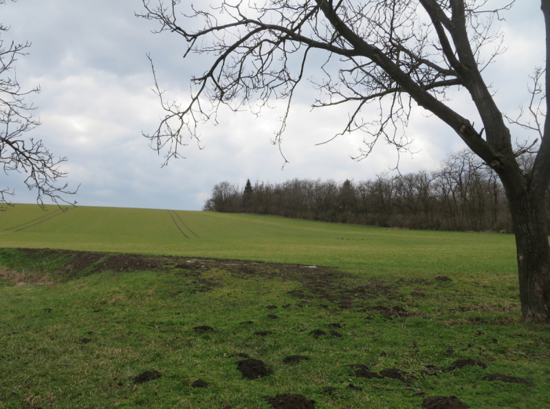 Весенняя Моравия на поездах, автобусах и пешком