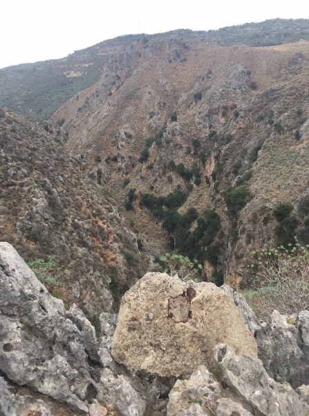 Осенний Крит или кусочек лета в октябре.. Осенний Крит или кусочек лета в октябре..
