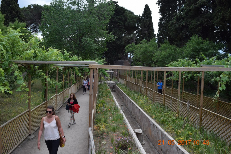 Италия от Венеции до Сиракузы за 15 дней на самолётах, поездах, паромах, автобусе и автомобиле.