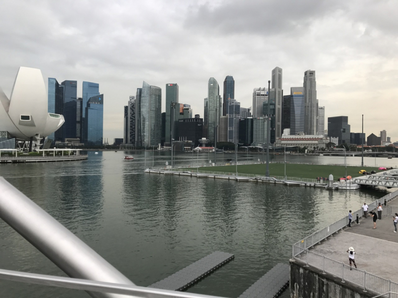 Поездка на всю жизнь, 9 дней в Сингапуре - март, 2017