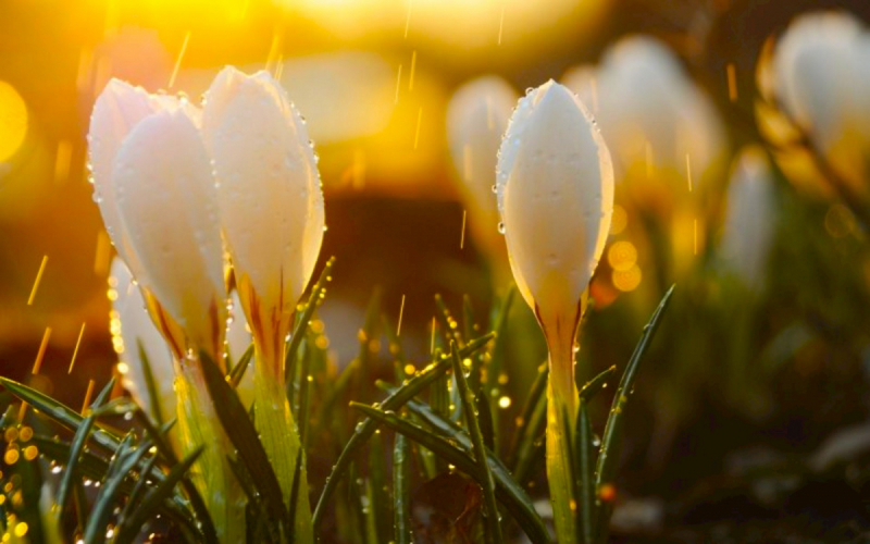 Нина 80 - Нина, с Днём Рождения!!!