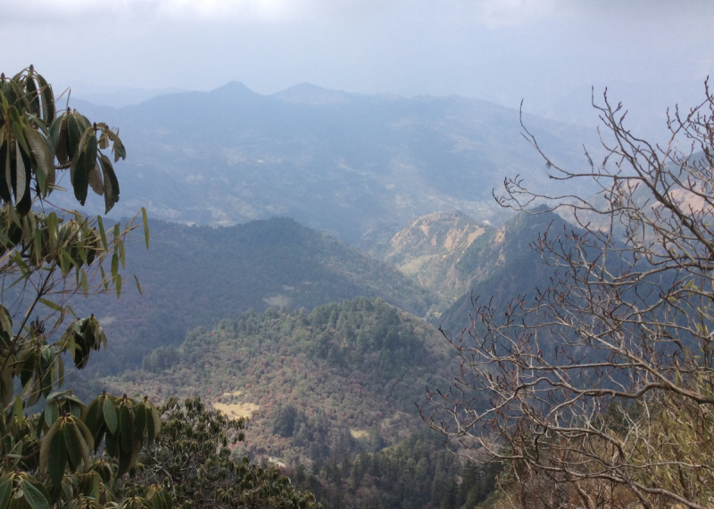 Непал. Трек Мулдай+АВС, Покхара, Бандипур, Катманду. Март-апрель 2018