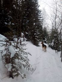 Мои вторые пятьдесят (онлайн-дневник). Канкун и немного Техаса.