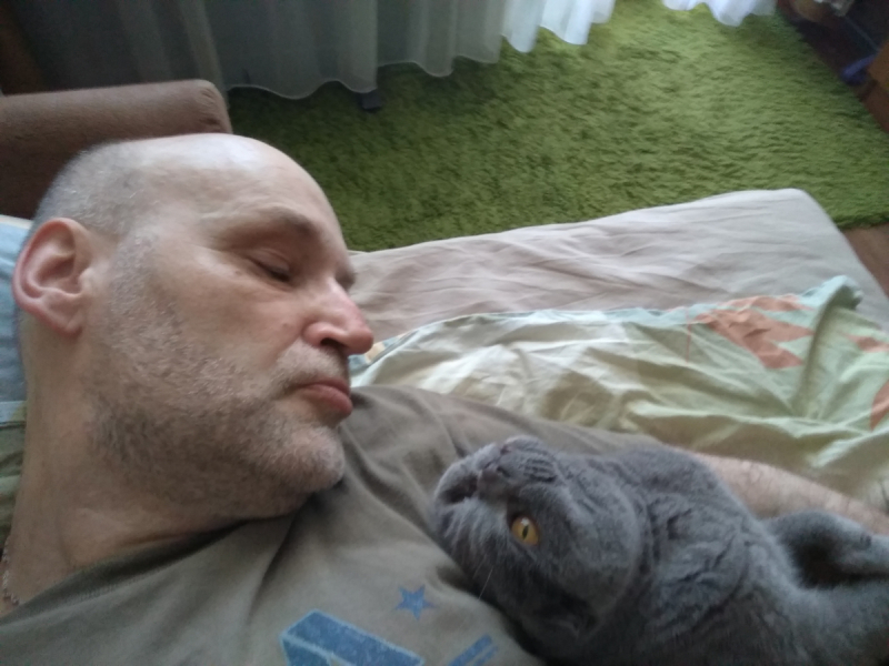 Кошки в нашей жизни. Кошки и все, что с ними связано.