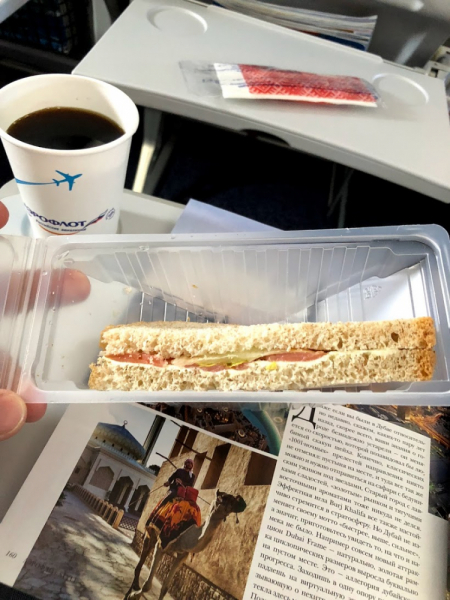 Аэрофлот отзывы о сервисе, питании, комфорте