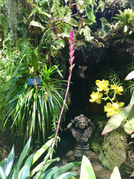 9 дней одного года, или как не заскучать на Культурном побережье Флориды (14-23 апреля 2018)