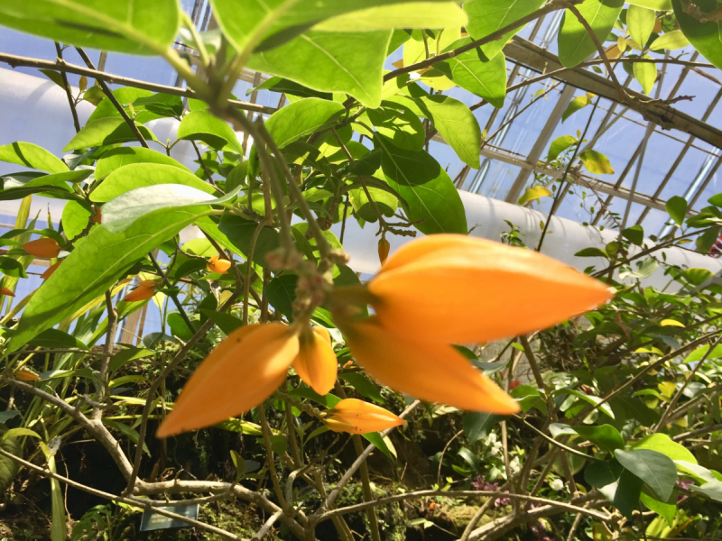 9 дней одного года, или как не заскучать на Культурном побережье Флориды (14-23 апреля 2018)