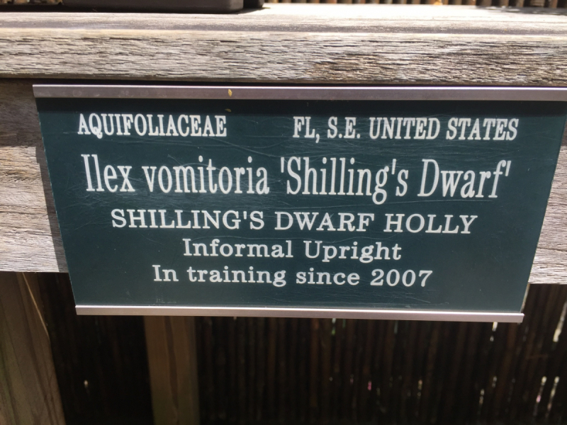 9 дней одного года, или как не заскучать на Культурном побережье Флориды (14-23 апреля 2018)