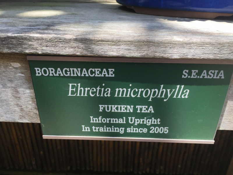 9 дней одного года, или как не заскучать на Культурном побережье Флориды (14-23 апреля 2018)