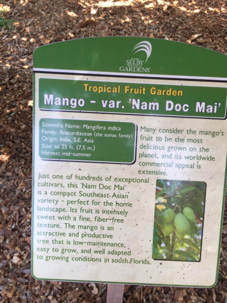 9 дней одного года, или как не заскучать на Культурном побережье Флориды (14-23 апреля 2018)