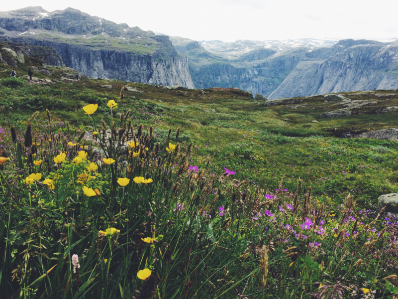 Норвегия - место, куда я непременно вернусь