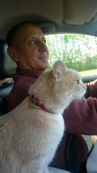 Кошки в нашей жизни. Кошки и все, что с ними связано.