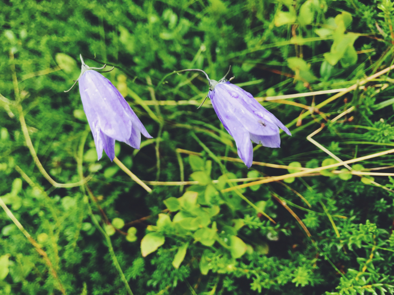 Норвегия - место, куда я непременно вернусь