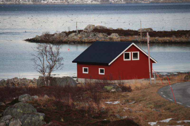 Наше арктическое путешествие или Север Норвегии в январе 2016