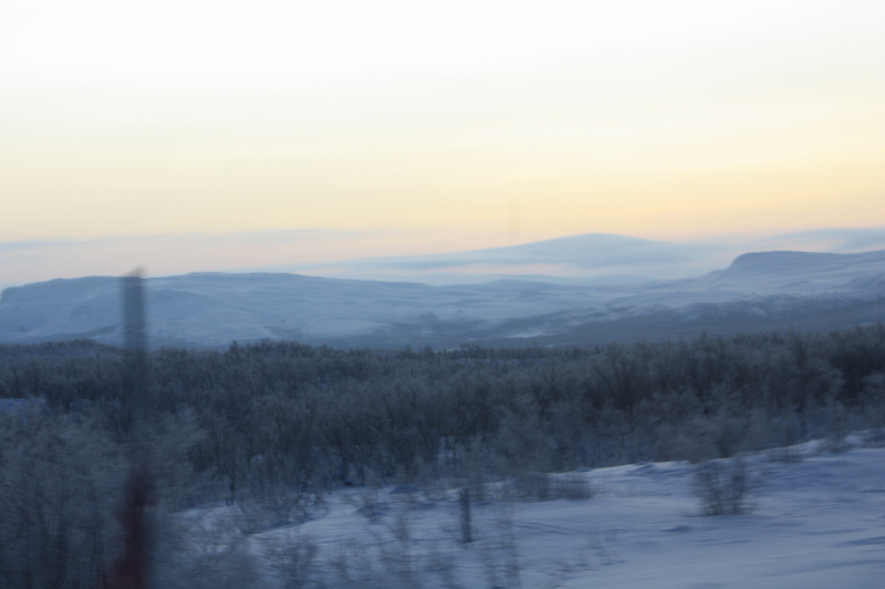 Наше арктическое путешествие или Север Норвегии в январе 2016