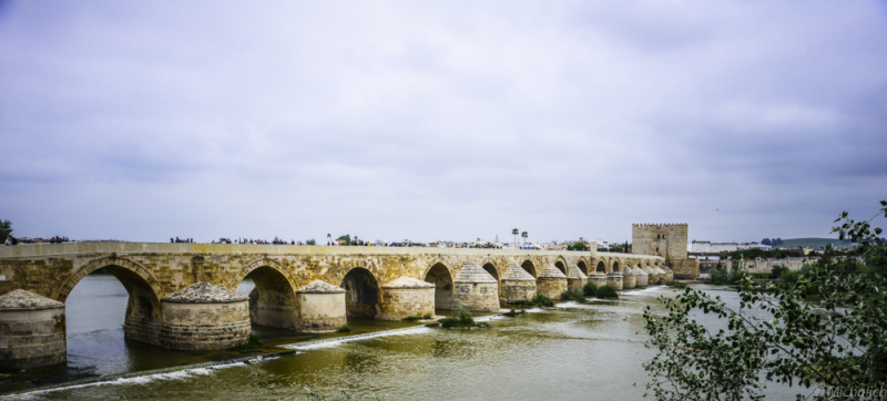 Andalucía - Málaga, Granada, Cádiz, Jerez, Sevilla, Córdoba