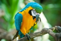 Бали (сёрф) - НГ2011 - Ломбок (треккенг на вулкан) - Гили