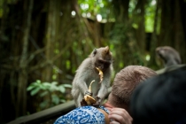 Бали (сёрф) - НГ2011 - Ломбок (треккенг на вулкан) - Гили