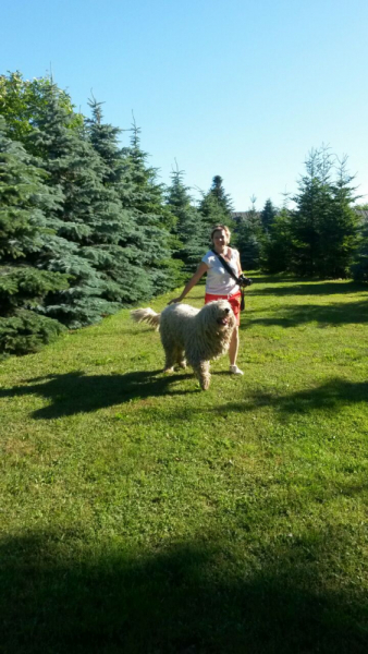 Кошки в нашей жизни. Кошки и все, что с ними связано.